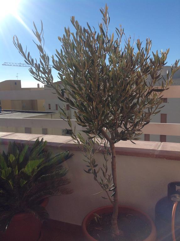 Villamari Apartment Αλγκέρο Εξωτερικό φωτογραφία